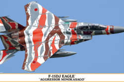 Hasegawa F-15DJ Eagle `Aggressor Minokasago´