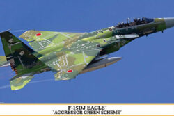 Hasegawa McDonnell Douglas F-15 DJ Eagle – ‘Aggressor Green Scheme’