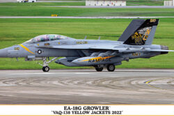 Hasegawa Boeing EA-18 G Growler – ‘VAQ-138 Yellow Jackets 2022’
