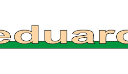 Eduard EX700 Me 262A TFace Hobby Boss