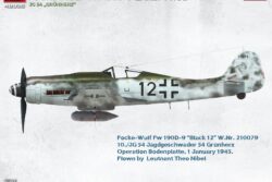MiniArt  48035 Focke-Wulf Fw 190D-9 Early Production JG 54 “Grünherz” Basic Kit (1:48) 