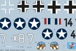 Exotic Decals 48014 Irmgard – American Gustav in Tunisia